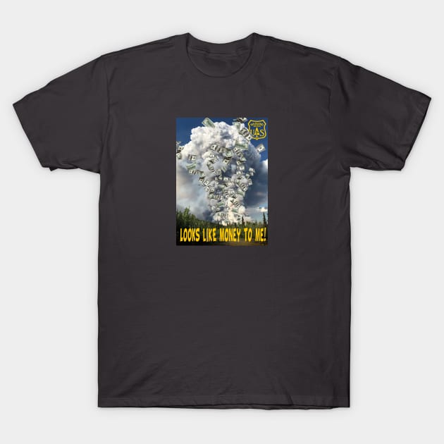 Looks Like $$$$ T-Shirt by Firethreadz